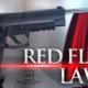 Minnesota’s New “Red Flag” Gun Laws