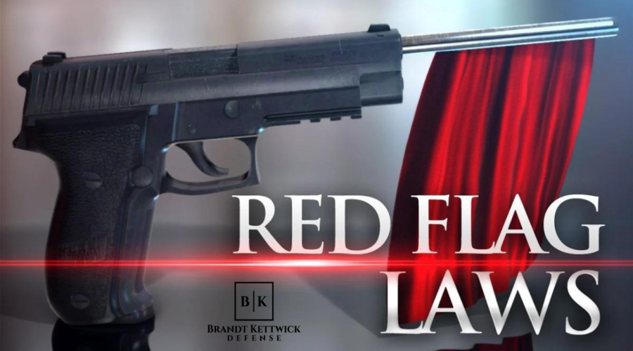 Minnesota’s New “Red Flag” Gun Laws